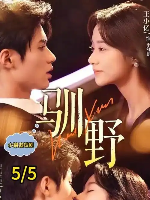 我们的九十年代 剧集海报